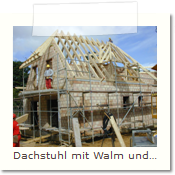 Dachstuhl mit Walm und Gaube